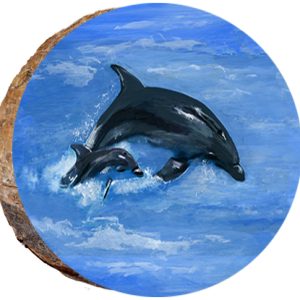 DAF029 – Swimming Dolphin and Baby