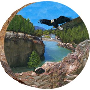 DAI179 – Eagle Soaring over a Stream