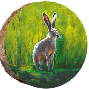 DAS028 – Rabbit in the Marsh