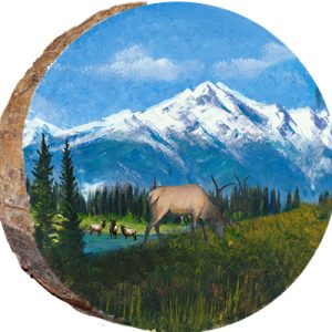 DAE448 – Peaceful Elk