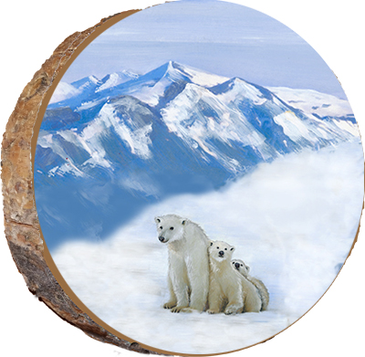 Alaskan Polar Bear