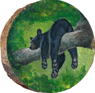 Bear Chillin'