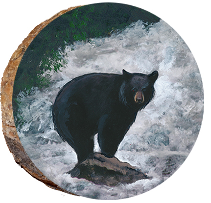 Bear Balancing on a Rock
