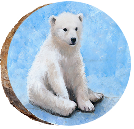 Baby Polar Bear