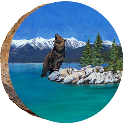 Bear at Lake Tahoe