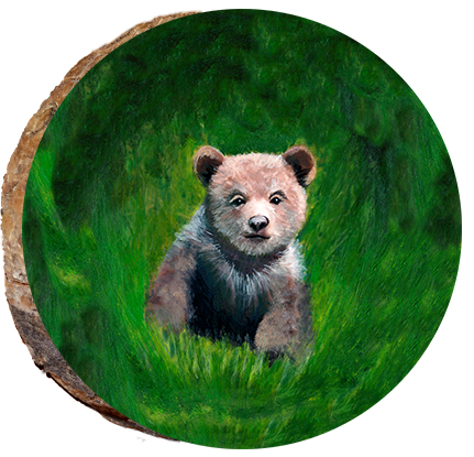 Baby Brown Bear