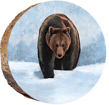 Bear Knee Deep in Snow