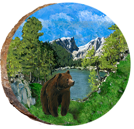 Bear at Dream Lake