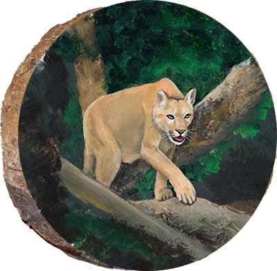 Approaching Mountain Lion