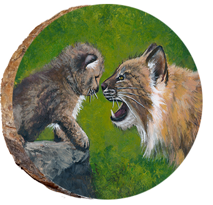 Bobcat & Cub