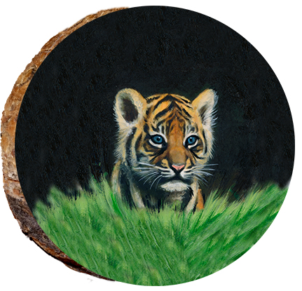 Tiger Cub in Grass