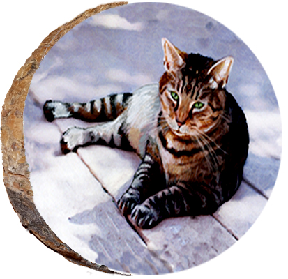 Cat Resting