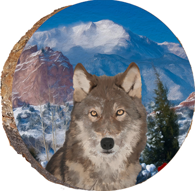 "Shadow" Stalking Wolf with Mountains