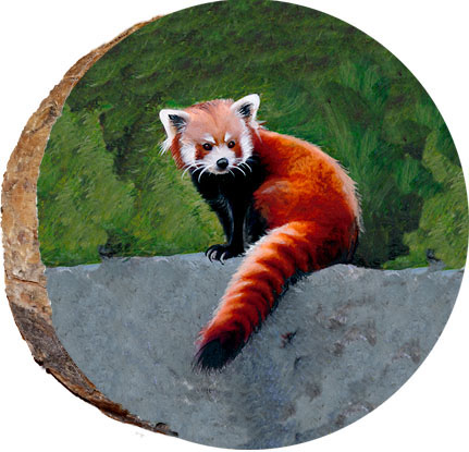 Red Panda