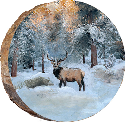 Deer in Winter Snow