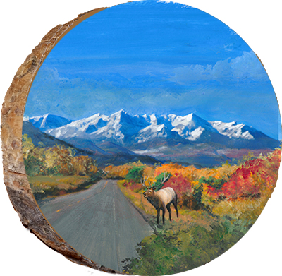 Aspen Road with Bugling Elk