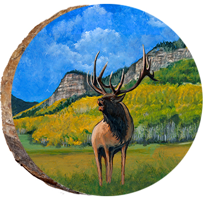 Elk in the Fall in Durango