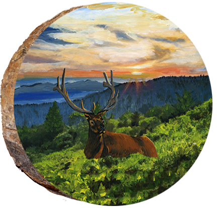 Elk in the Sunset Resting