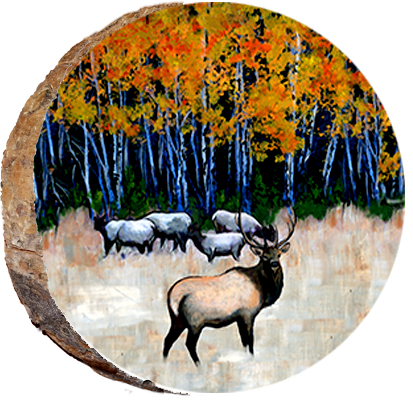 Elk in a Meadow of Aspens