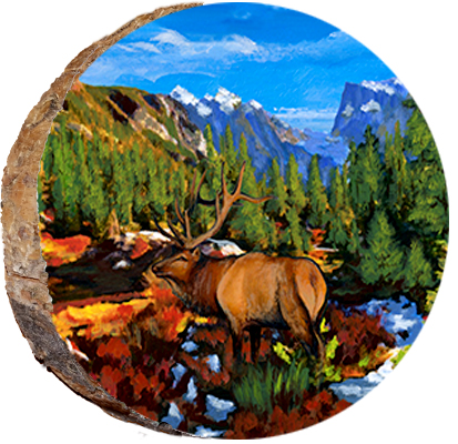 Elk Crossing Stream in Rocky Mountain National Park