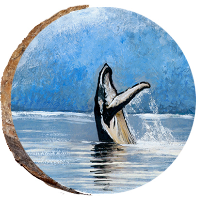 Humpback Whale Breaching