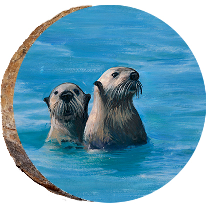 Sea Otter Alaska
