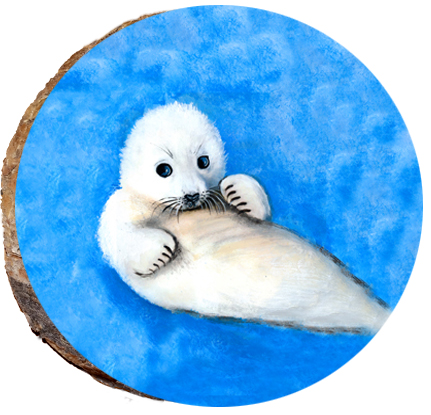 Baby Harp Seal
