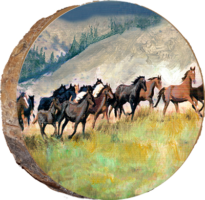 Bronco Stampede