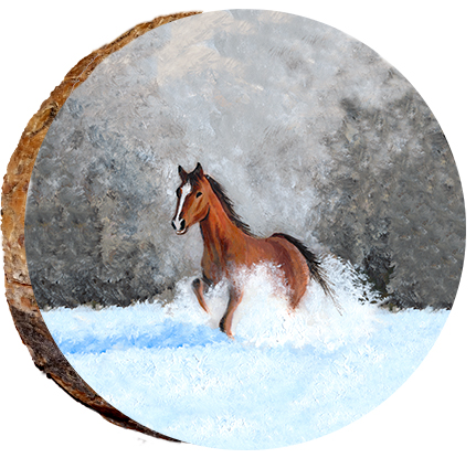 Snow Pony