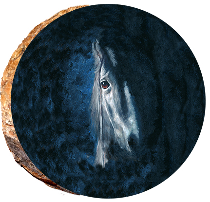 Horse- Eyes of Wisdom