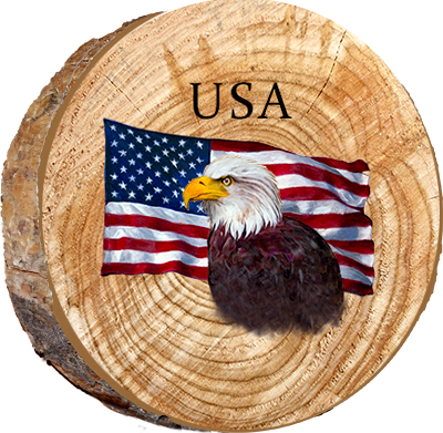 USA Eagle