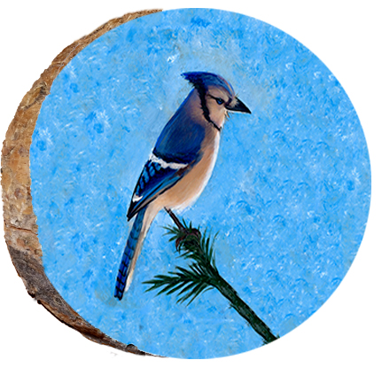 Blue Jay Out on a Limb