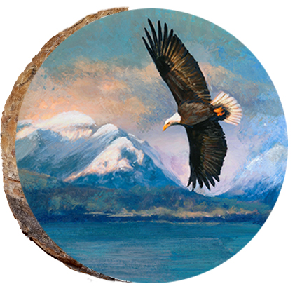 Alaskan Eagle Soaring