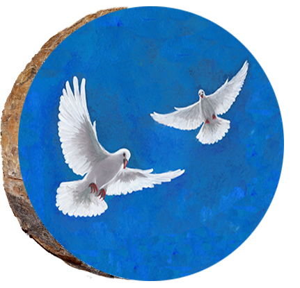 Two White Doves