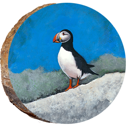 Atlantic Puffin