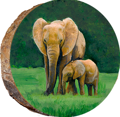 Mama & Baby Elephant Bonding