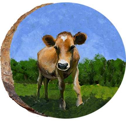 Rescue Cow
