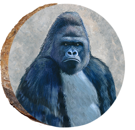 Posing Gorilla
