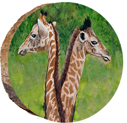 Twin Giraffes