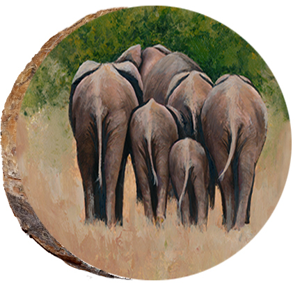 Cute Elephant Butts