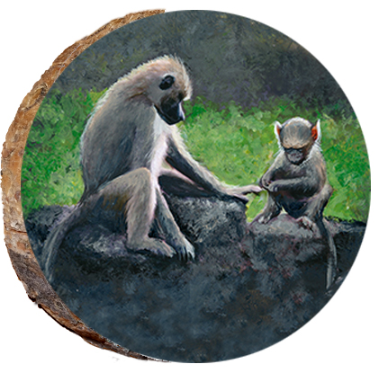 Mama & Baby Monkey