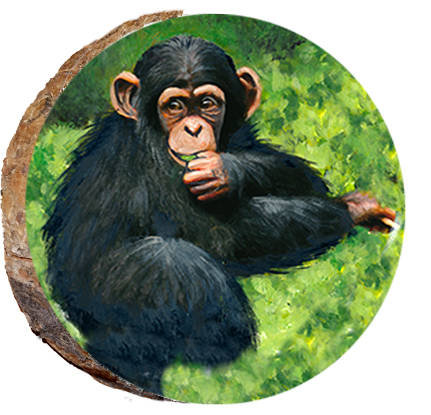 Monkey Thinking