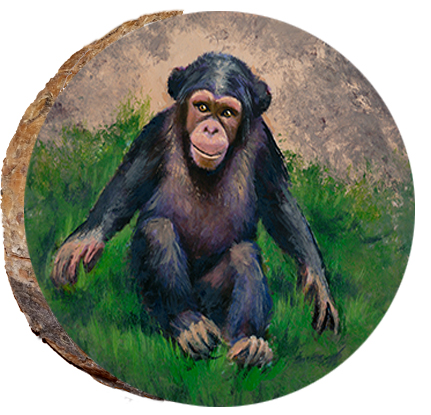 Posing Monkey