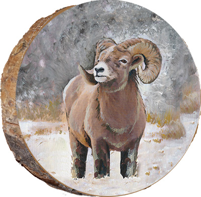 Rams, Goats, and Sheep