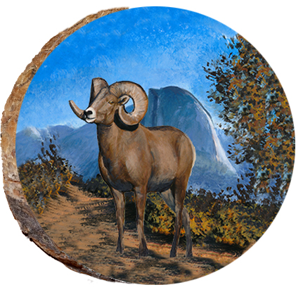 Big Horn Ram in Mountains