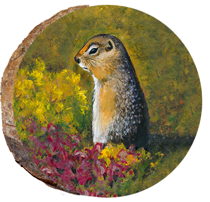 Arctic Ground Squirrel