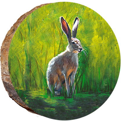 Rabbit in the Marsh