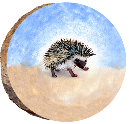 Baby Hedgehog