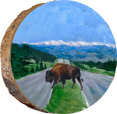 Buffalo Crossing Road in Genesee