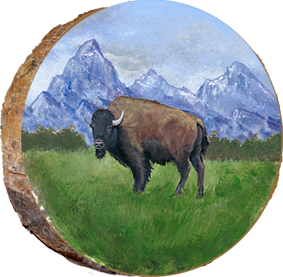 Buffalo Grazing in the Tetons
